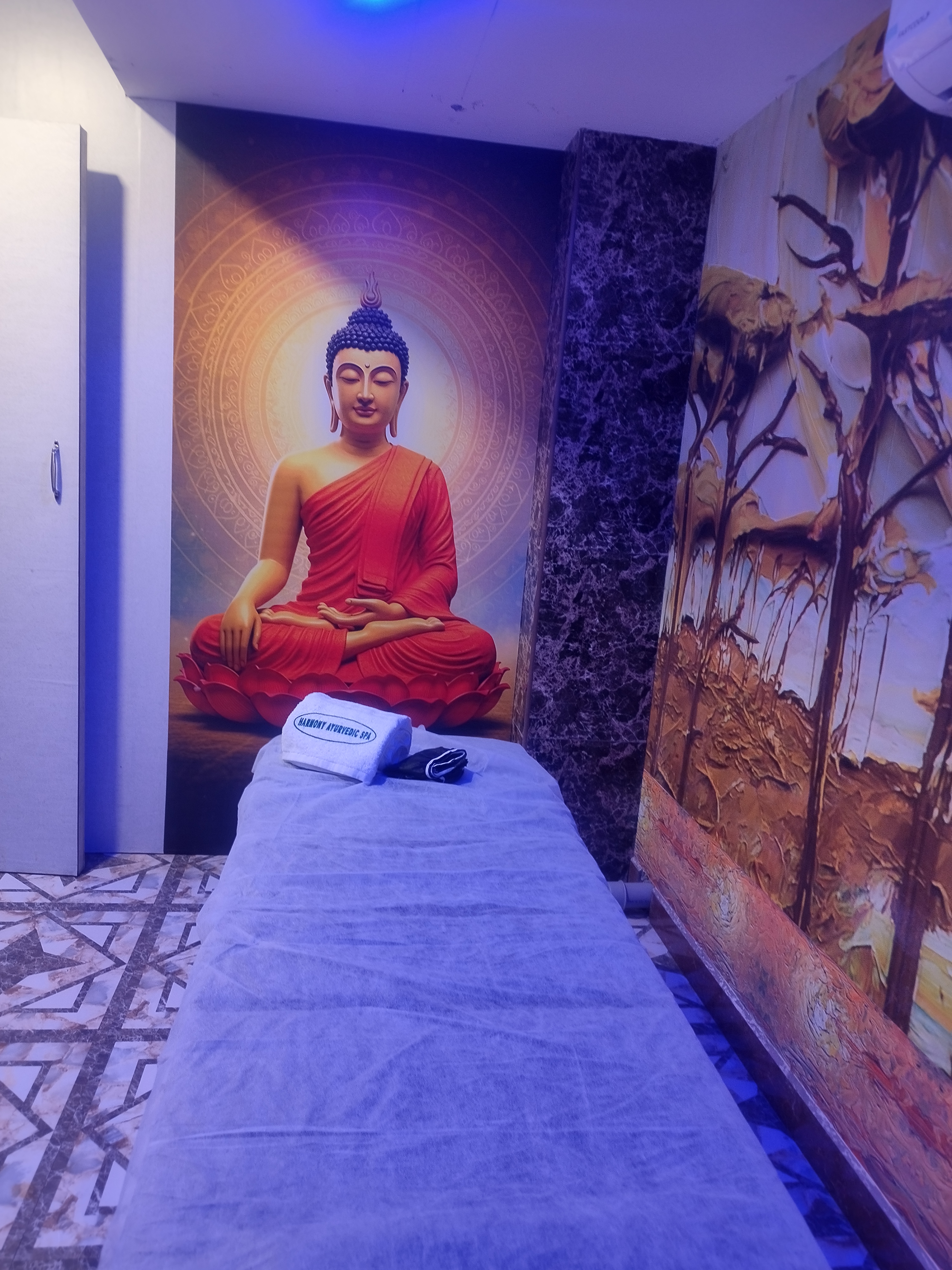 Private treatment room at Harmony Ayurvedic Care and Spa